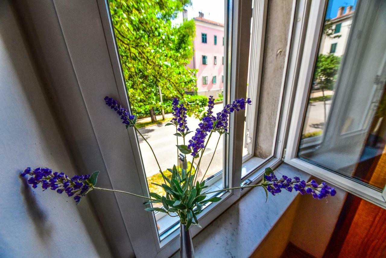 Apartment Viola Zadar Exteriér fotografie